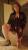 Suis je excitante ?