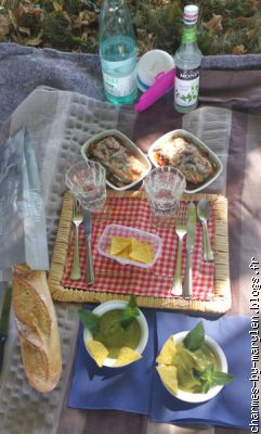 Gaspacho de courgettes à la menthe, gratin de légumes du soleil